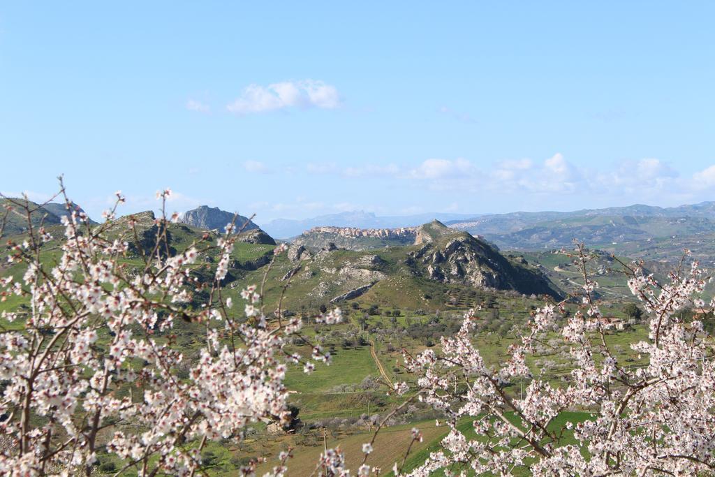Agriturismo Feudo Muxarello 아라고나 외부 사진