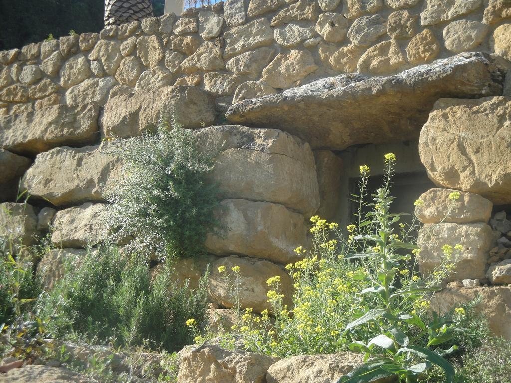 Agriturismo Feudo Muxarello 아라고나 외부 사진